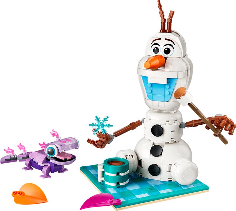 LEGO Disney Classique - Le pique-nique d'Olaf et Bruni