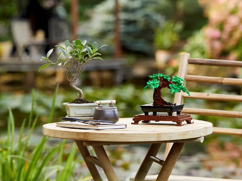LEGO Botanical Collection - Bonsai Tree
