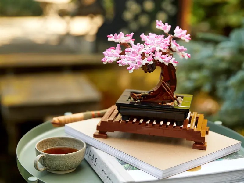 LEGO Botanical Collection - Bonsai Tree