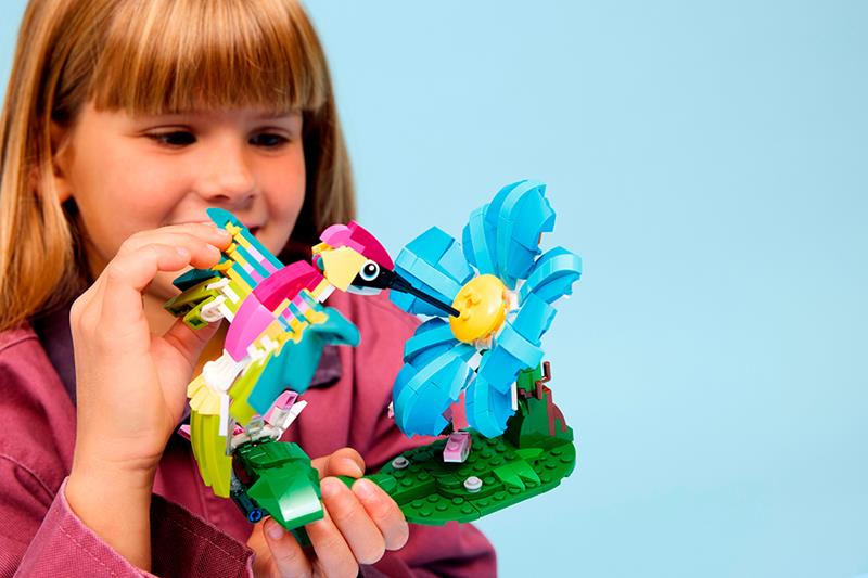 LEGO Creator - Animaux sauvages : Le colibri coloré