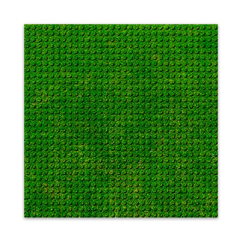 Brixies - Plaque de construction gazon 25cm