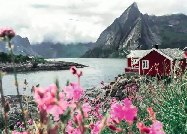 Casse-tête Ravensburger - Lieux scandinaves : Lofoten, Norvège – 1000 pièces