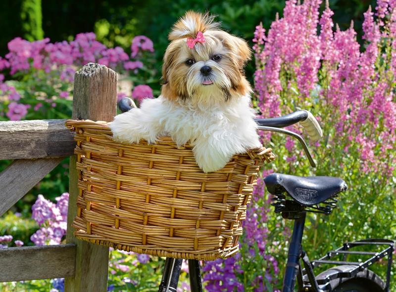 Casse-tête Ravensburger - Petit chien adorable - 100 pièces XL