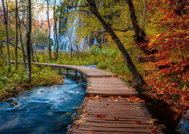 Casse-tête Ravensburger - Chemin de bois en automne - 1000 pièces