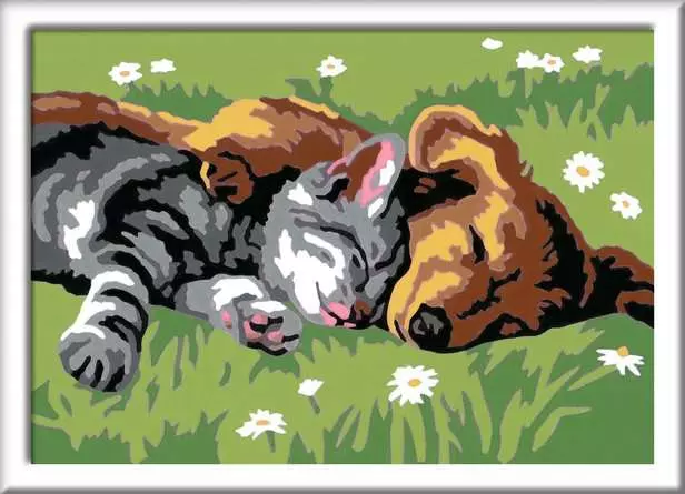 Peinture à numéro - CreArt : Chat et chien endormis