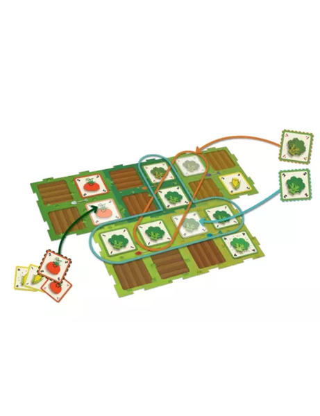 Plante Bataille - FR