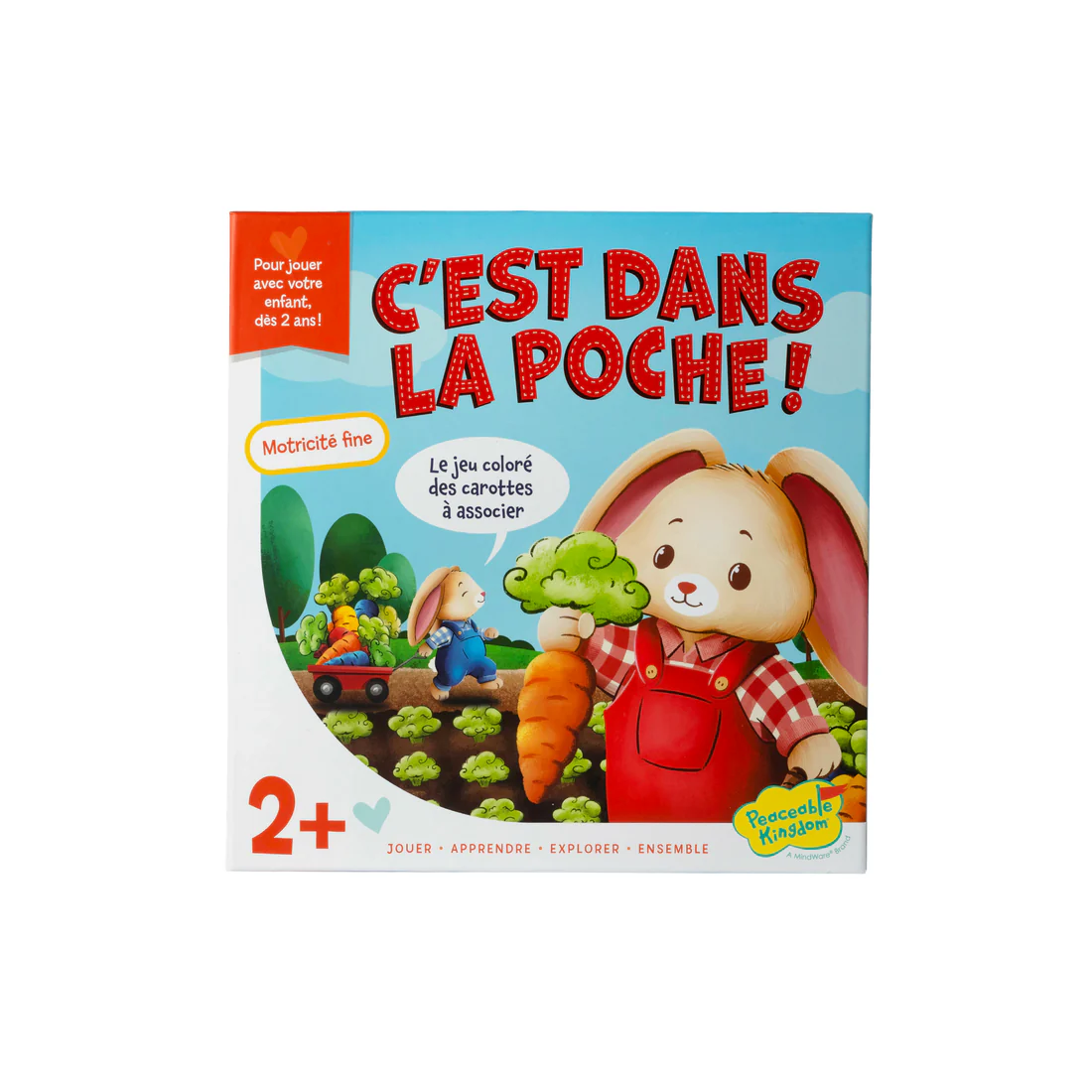 C'est dans la poche ! - FR