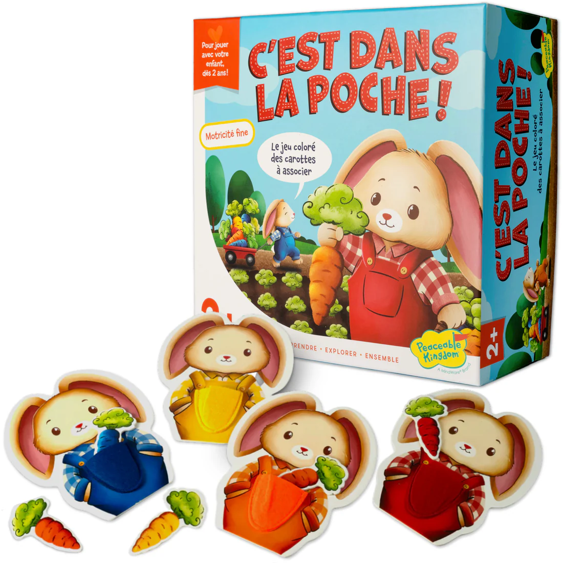 C'est dans la poche ! - FR