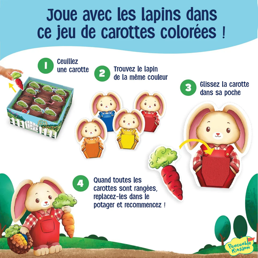 C'est dans la poche ! - FR