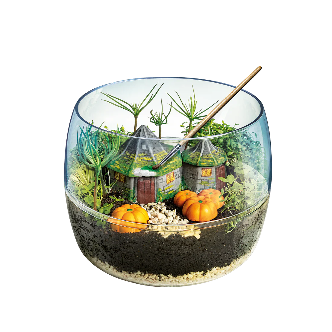 Terrarium - Harry Potter