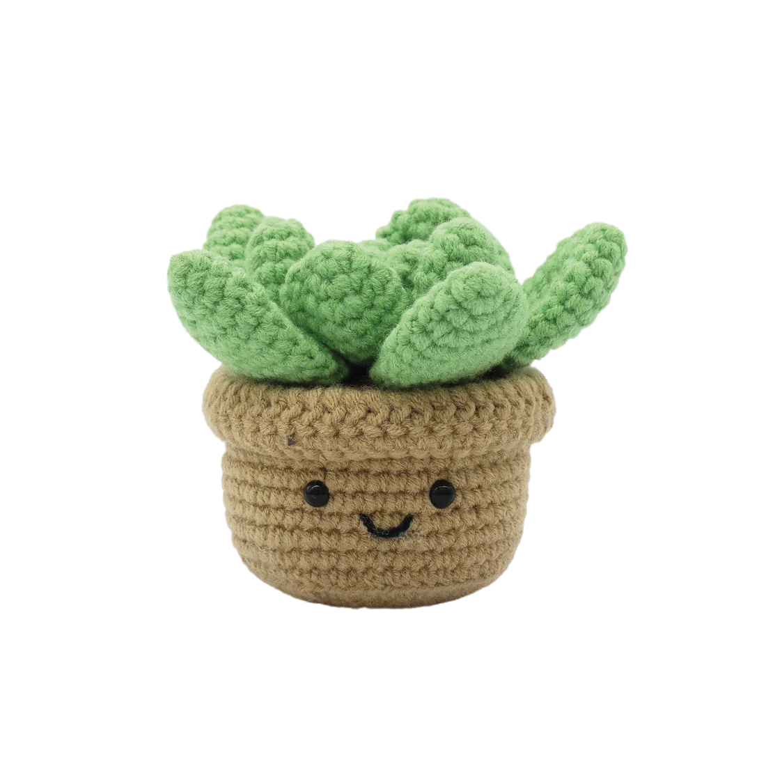 Kit DIY crochet - Succulente