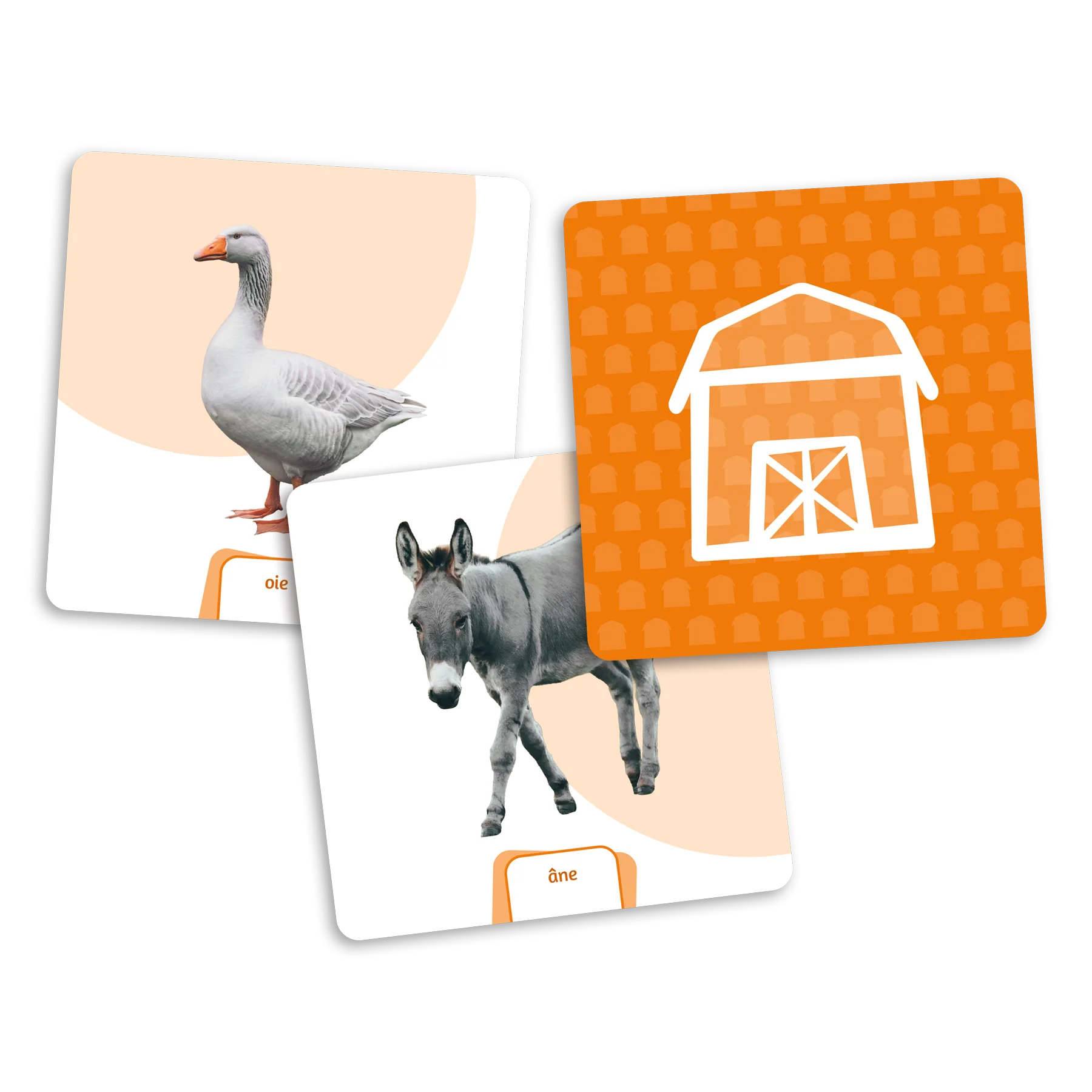 Placote - Dé des premiers mots : Animaux