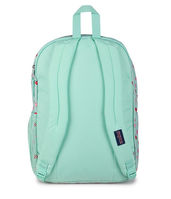JanSport Big Student Backpack - Apple Orchard Magic