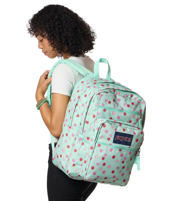JanSport Big Student Backpack - Apple Orchard Magic