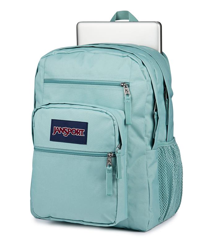 JanSport Big Student Backpack - Sauge