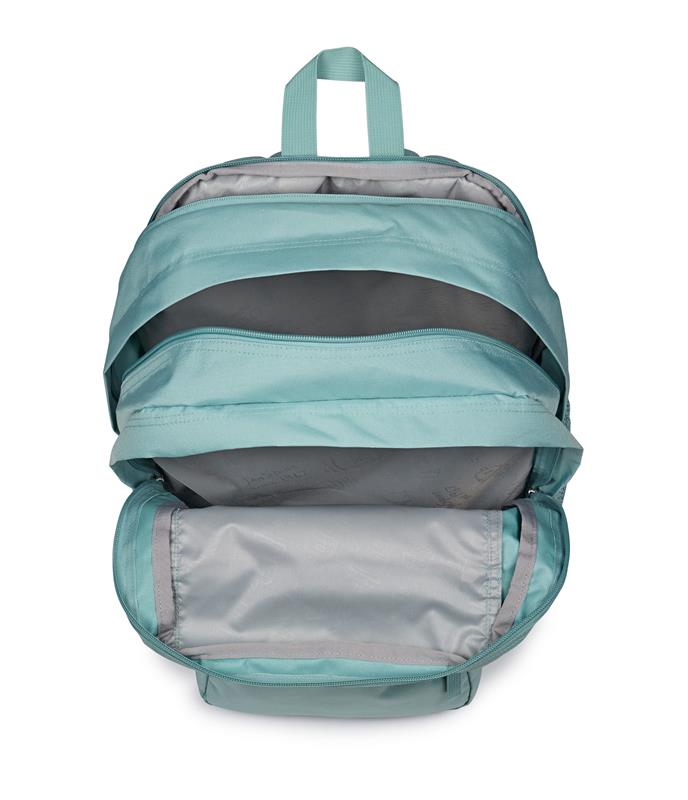 JanSport Big Student Backpack - Sauge