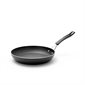 RICARDO THE ROCK 12" NON-STICK FRYPAN