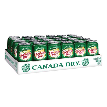 Boissons gazéifiées Boîte de 24 canettes soda gingembre Canada Dry