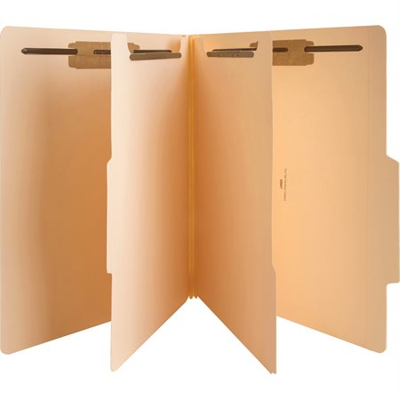 Classification Folder Letter size 2 dividers (box 10)