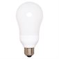 Ampoule A19 CFL