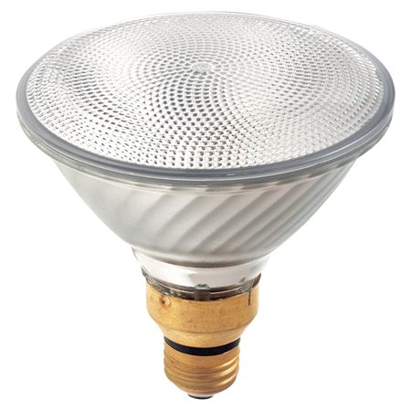 Ampoule halogène PAR39 80W 1600 lumens