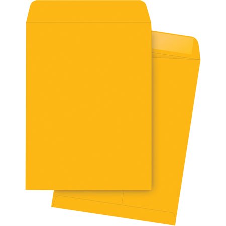 Catalogue Envelope Kraft. 28 lb. Box of 250. 10 x 13 in.