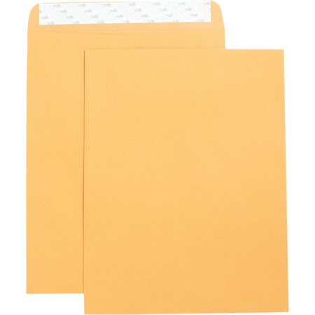 Enveloppe autocollant pour catalogue Kraft. Boîte de 250. 10 x 13 po.