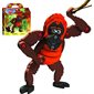 L'ORANG-OUTAN
