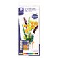 Ensemble de tubes de peinture acrylique pqt 12