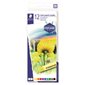 Soft Pastel Chalks package of 12