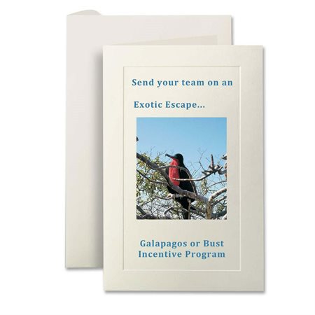 INVIT / ENV*TRAD IVORY    *40 / PK @40