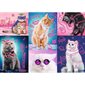 C-T.1000 MCX NEON CHATS ORIGINAUX