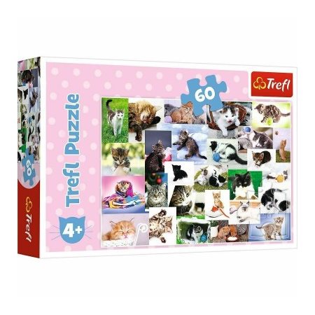 C-T.60 MCX MONDE DE CHATS