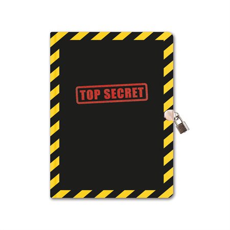 JOURNAL INTIME TOP SECRET