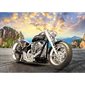 PUZZLE 500 BALADE A MOTO