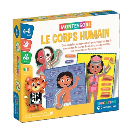 Éducation Montessori : le corps humain