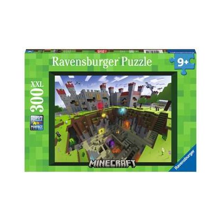 C-T.300 P.MINECRAFT VUE DE COUPE