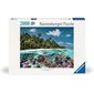 C-T. 2000 MCX UNDERWATER  /  OVERWATER