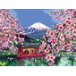 CreArt Paint-by-Numbers: Japanese Cherry Blossoms