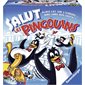 SALUT LES PINGOUINS