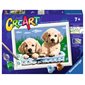 Peinture à numéro - CREART : ADORABLES CHIOTS