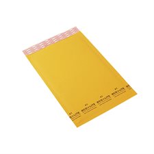 Ecolite Shipping Envelope #1. 7-1/4 x 12 in.