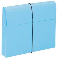 Chemises expansibles de couleur Format lettre bleu (10)