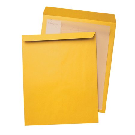 Kraft Envelope