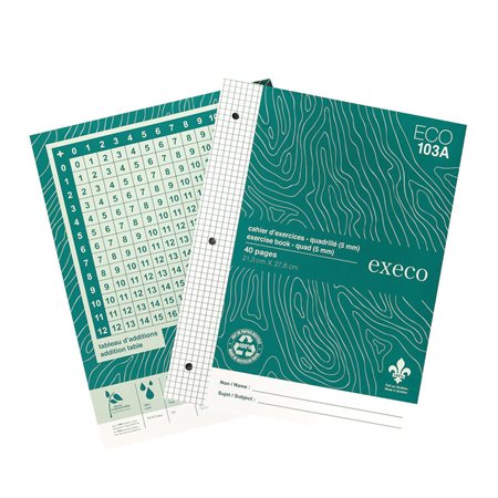 GeoEco Exercise Book quadruled, 0.5 cm