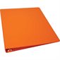 Ring binder 1 in. orange