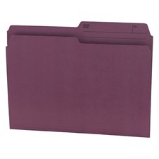 File folder Letter size burgundy