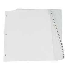 Pre-Printed Dividers 1-31