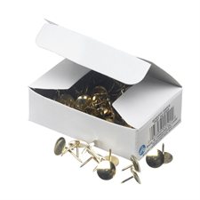 Brass Thumb Tacks 3/8 in