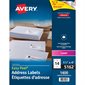 Étiquettes rectangulaires blanches Easy Peel® Boîte de 100 feuilles 4 x 1-1 / 3"  (1400)